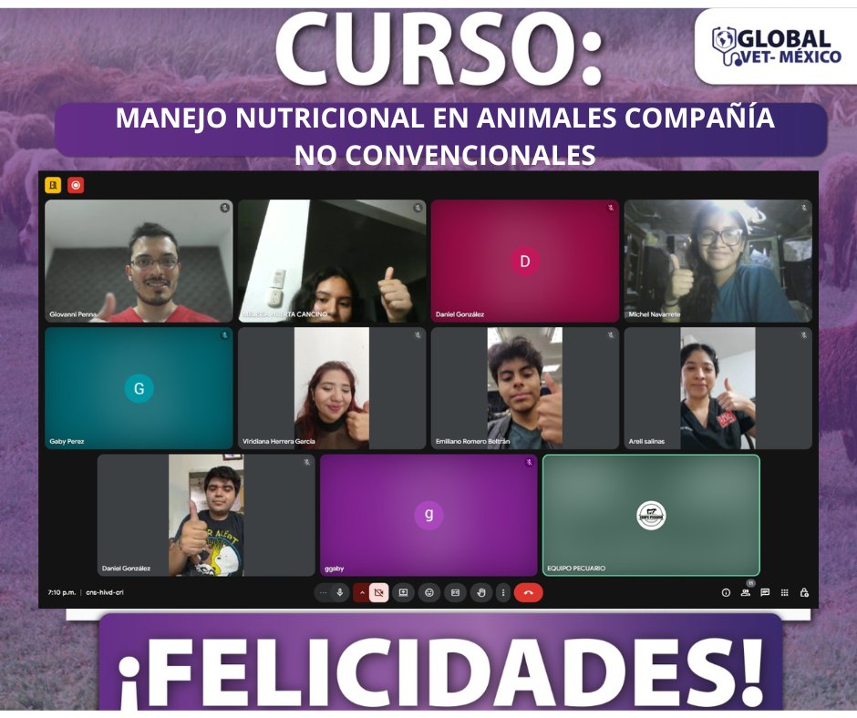 Actividad GlobalVet México 1