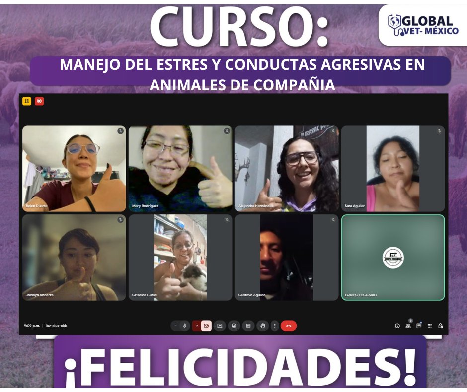 Actividad GlobalVet México 2