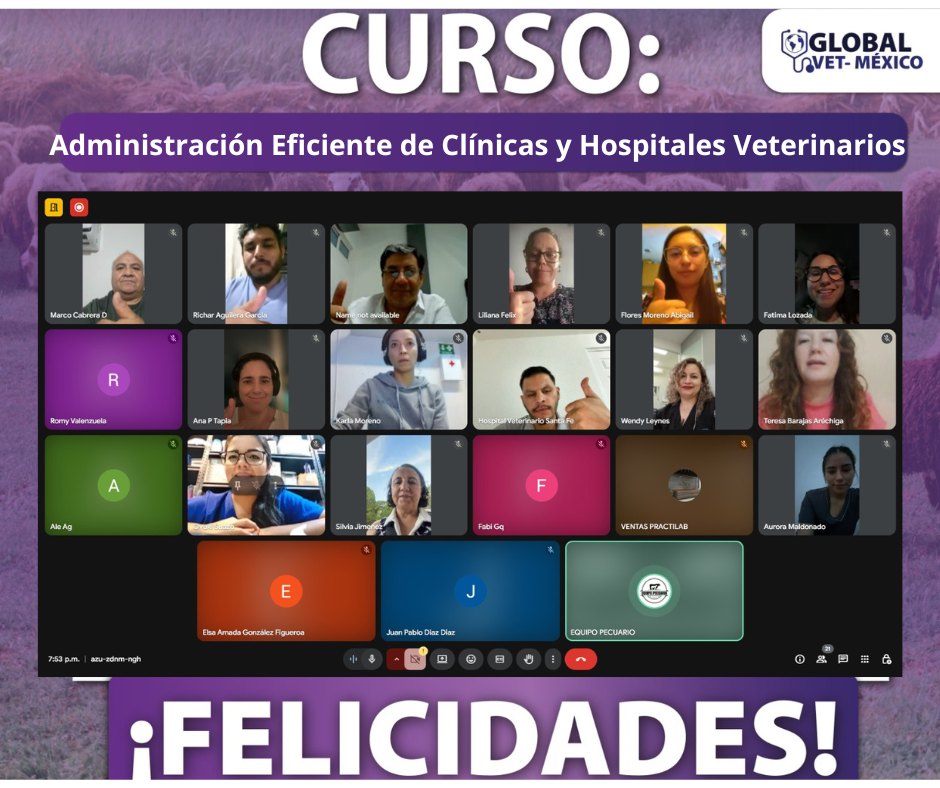 Actividad GlobalVet México 3